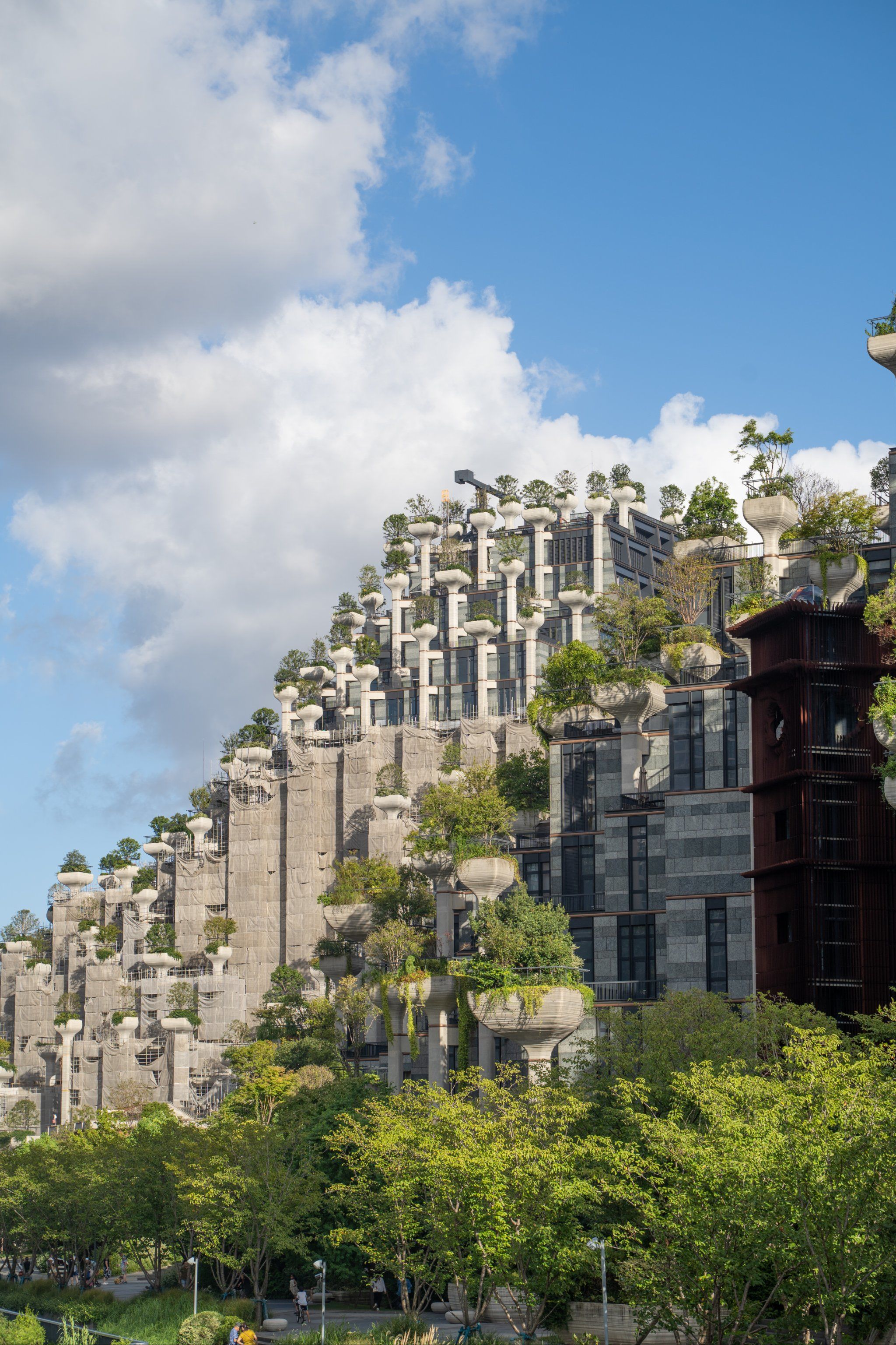 《南华大学服务器：高效稳定，为智慧校园注入强劲动力》