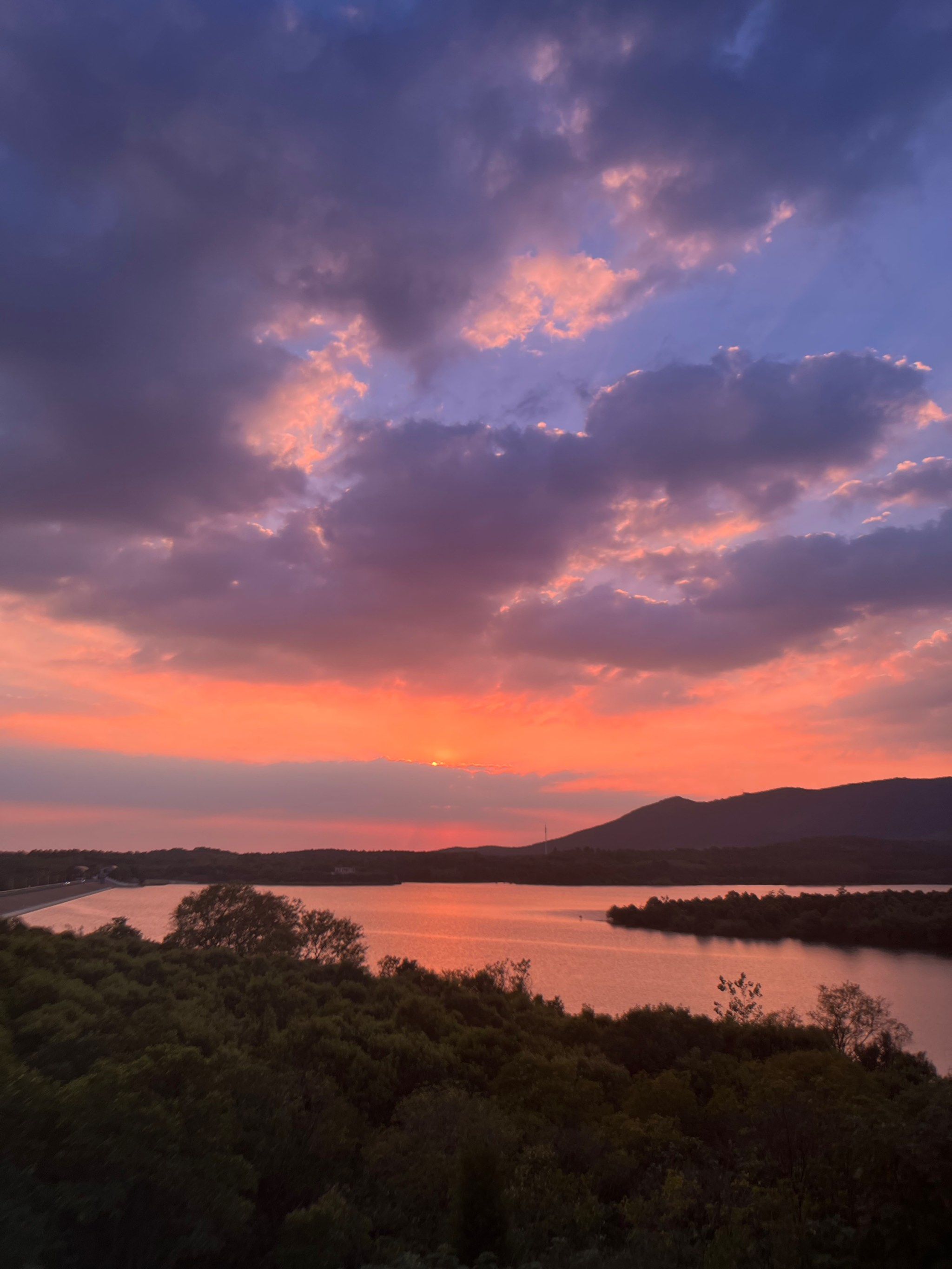 美国服务器平台：解锁全球业务增长的秘密武器